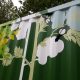 urban-city-woodland-trees-shippingcontainer-mural-green-magpies